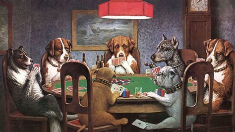 poker kaufen